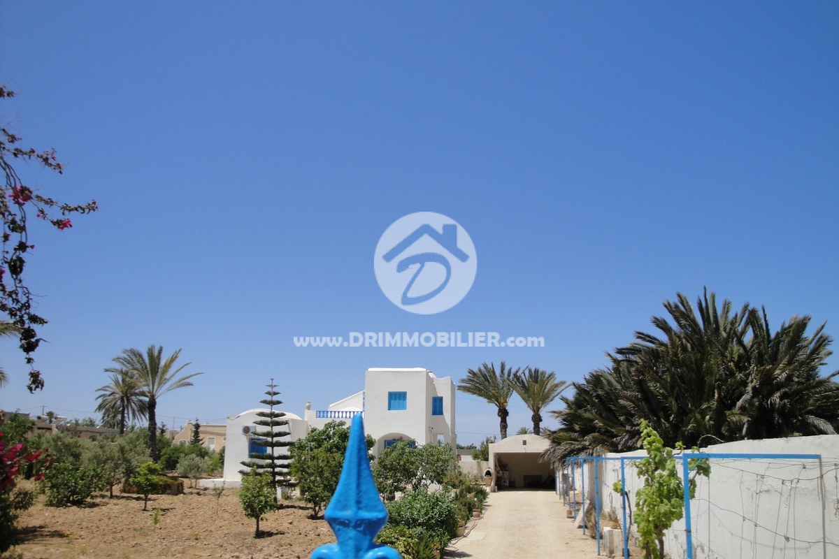 V 018 -                            Sale
                           Villa Meublé Djerba